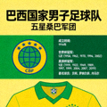 巴西国家队详细介绍及徽章