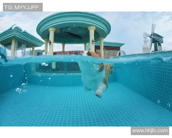 激情碰撞泳池边，畅游世界游泳争霸赛全程精彩回顾