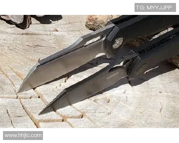 武汉极限运动队防反策略分析与战术得失评估探讨